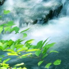 【5月~6月限定】西多摩食材の初夏の陶板焼き〜鮮魚の刺身~肉料理 新緑の『季節の会席』