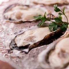 新宿 牡蠣スター