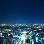 地上180メートルからの眺望 地上180メートルからの眺望