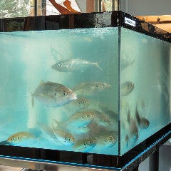 原価酒場 大和店