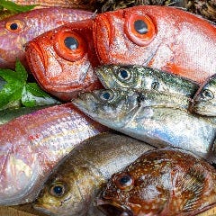 博多の魚屋 せんせんせん ［寿司酒場］