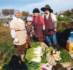 オムニ食堂 本店