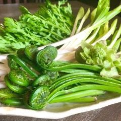 和酒和食 恵比寿 黒帯