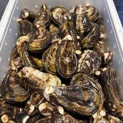 牡蠣と日本酒 Oyster and Sake