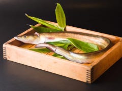 春夏は鱧料理 春夏は鱧料理