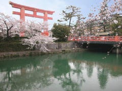 岡崎 平安神宮 南禅寺のごはんに関連する人気のレストラン グルメキーワード