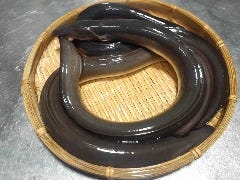 新宿 うなぎ うな桜