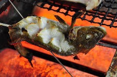 毎日更新 おすすすめメニュー 毎日更新 おすすすめメニュー