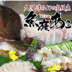 魚庭あこう 魚庭あこう