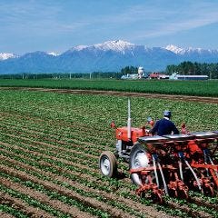 ニューイタメシ酒場 grazie（グラッツェ） 渋谷センター街店