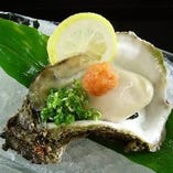 岩牡蠣 岩牡蠣