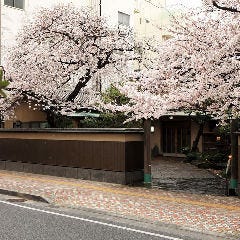 桜の庭園を眺めながら