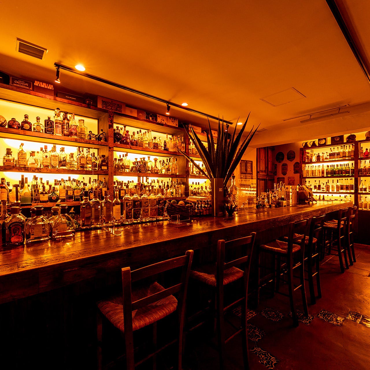 AGAVE 六本木のテキーラバー