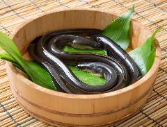 うなぎ三代目源内