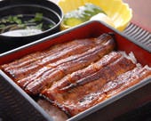 町田双葉