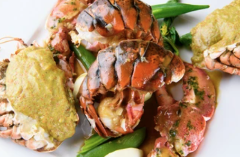 アニオン（AIGNON）