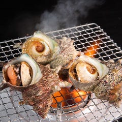 【個室完備】鮮魚と焼鳥ともつ焼き すみび 大和店