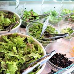 KADODE OOIGAWA 農家レストラン Da Monde（ダモンデ） 席 - 楽天ぐるなび