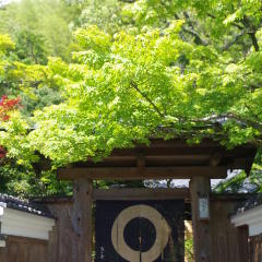 梅の花 太宰府別荘 自然庵