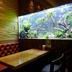 隠れ家イタリアン AQUARIUM CAFE Affinity 海老名