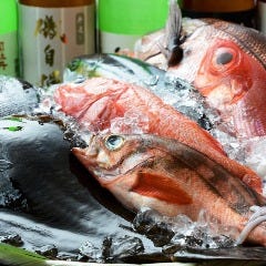 釣船直送鮮魚 居酒屋 いっせい