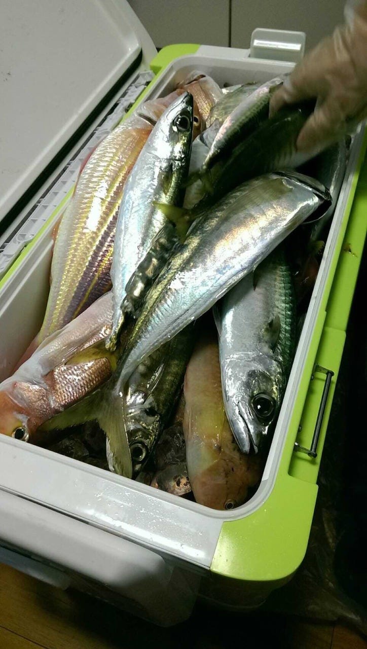 魚と日本酒 糸 ITO‐HEN 個室