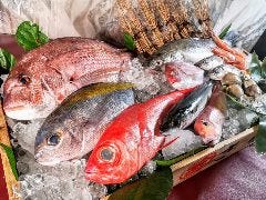 小田原産 朝どれ地魚地酒 湘南大衆横丁 小田原店