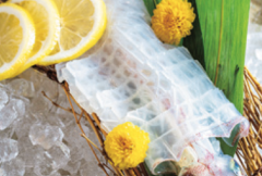 博多魚房 海さじ