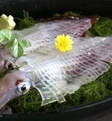 博多魚房 海さじ