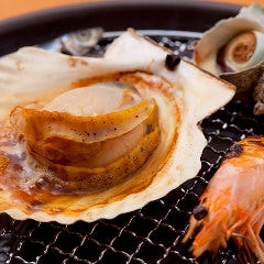 魚河岸料理 ざこば 