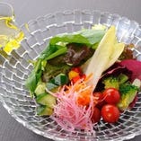 いろいろ野菜たっぷりサラダ いろいろ野菜たっぷりサラダ