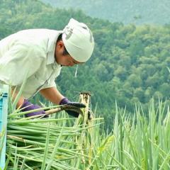 お好み焼き 恋火 新大久保