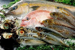 匠のがってん寿司 テラスモール湘南店