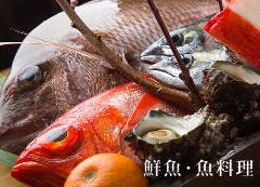 ざっしょ町 竜一