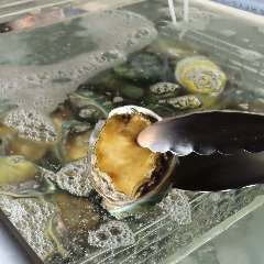 海鮮バイキング＆浜焼きBBQ 玉手箱～tamatebako～