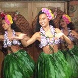 毎日開催!フラダンスショー 毎日開催!フラダンスショー