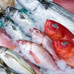 旬の鮮魚と魂の煮込み 照 渡辺通店