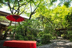 野趣あふれる日本庭園 野趣あふれる日本庭園