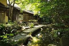 野趣あふれる日本庭園 野趣あふれる日本庭園