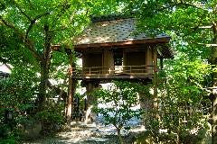 野趣あふれる日本庭園 野趣あふれる日本庭園