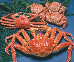 札幌かに本家 福岡那の川店