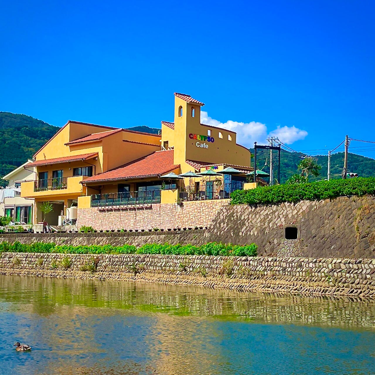 CALYPSO(カリプソ)イタリアンダイニング&カフェ イタリアン