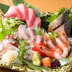 魚と酒 ことぶきや 稲田堤