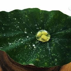 メゾンラフィット