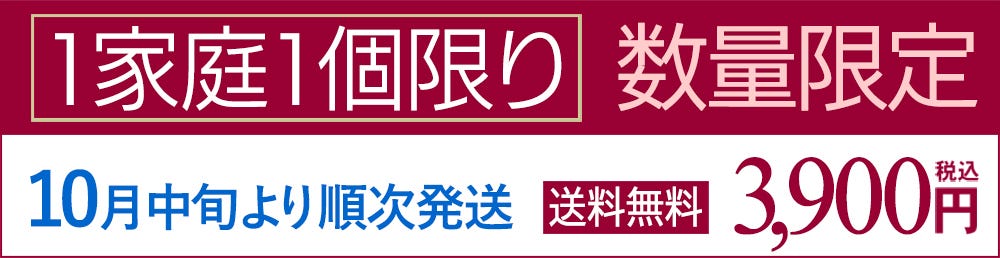 1家庭1個 出荷予定日 おせち 洋風 おせち料理 予約 オードブル
