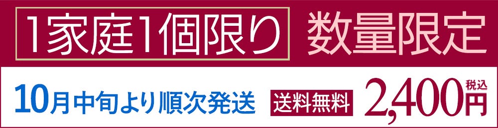 1家庭1個 出荷予定日 おせち 2023 洋風 おせち料理 予約 オードブル