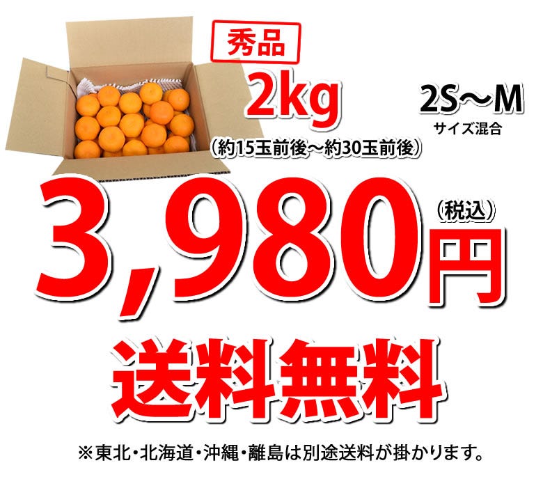 佐賀県産ハウスみかん　サイズ混合訳あり2kg