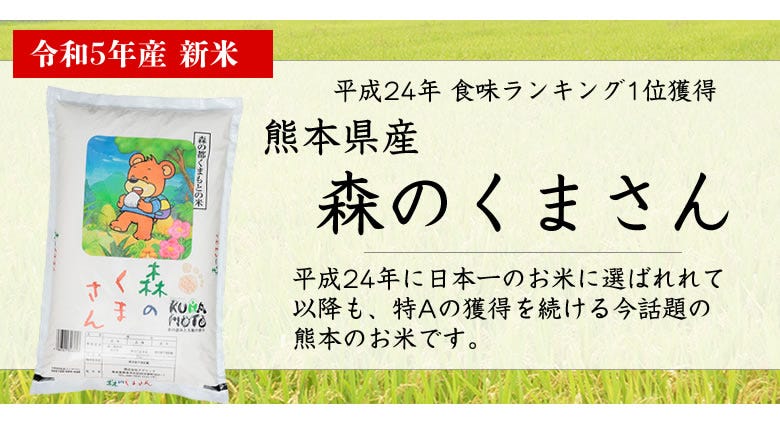 森のくまさん 米 送料無料 年産 新米 熊本県産 白米 お米