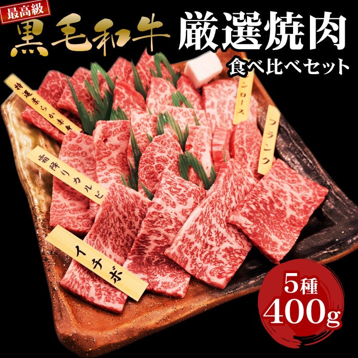 最高級黒毛和牛厳選焼肉セット5種400g