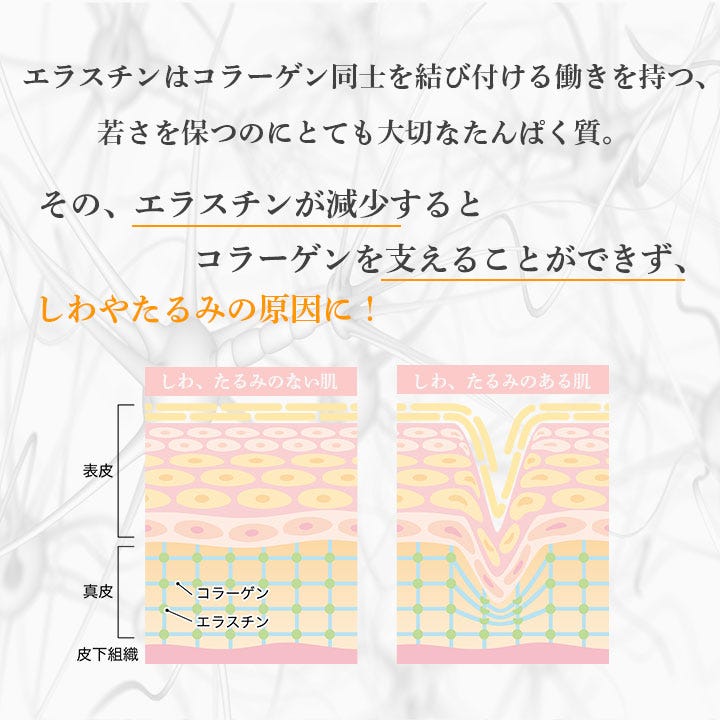 エラスチンが不足すると